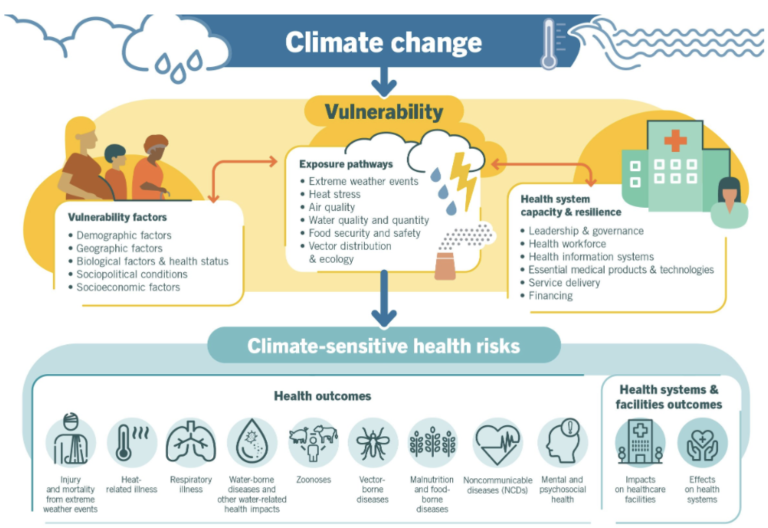 Image description: An overview of climate-sensitive health risks, their exposure pathways and vulnerability factors. Source: World Health Organization.