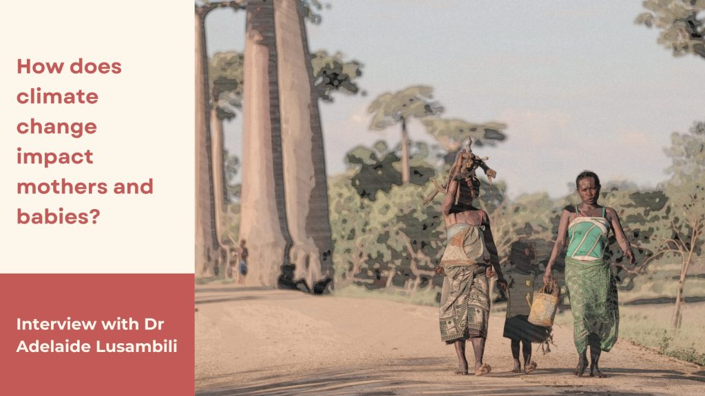 Alt Text: The image consists of a photo shot in Madagascar by 2Photo Pots, Unpslash on the right and text on the left. The photo shows two women walking in the sun with a child in the middle against a verdant background. The woman on the right is carrying a bundle of wood. On the left is written “How does climate change impact mothers and babies?” against a beige background and below that is written “Interview with Dr Adelaide Lusambili” against a crimson background.