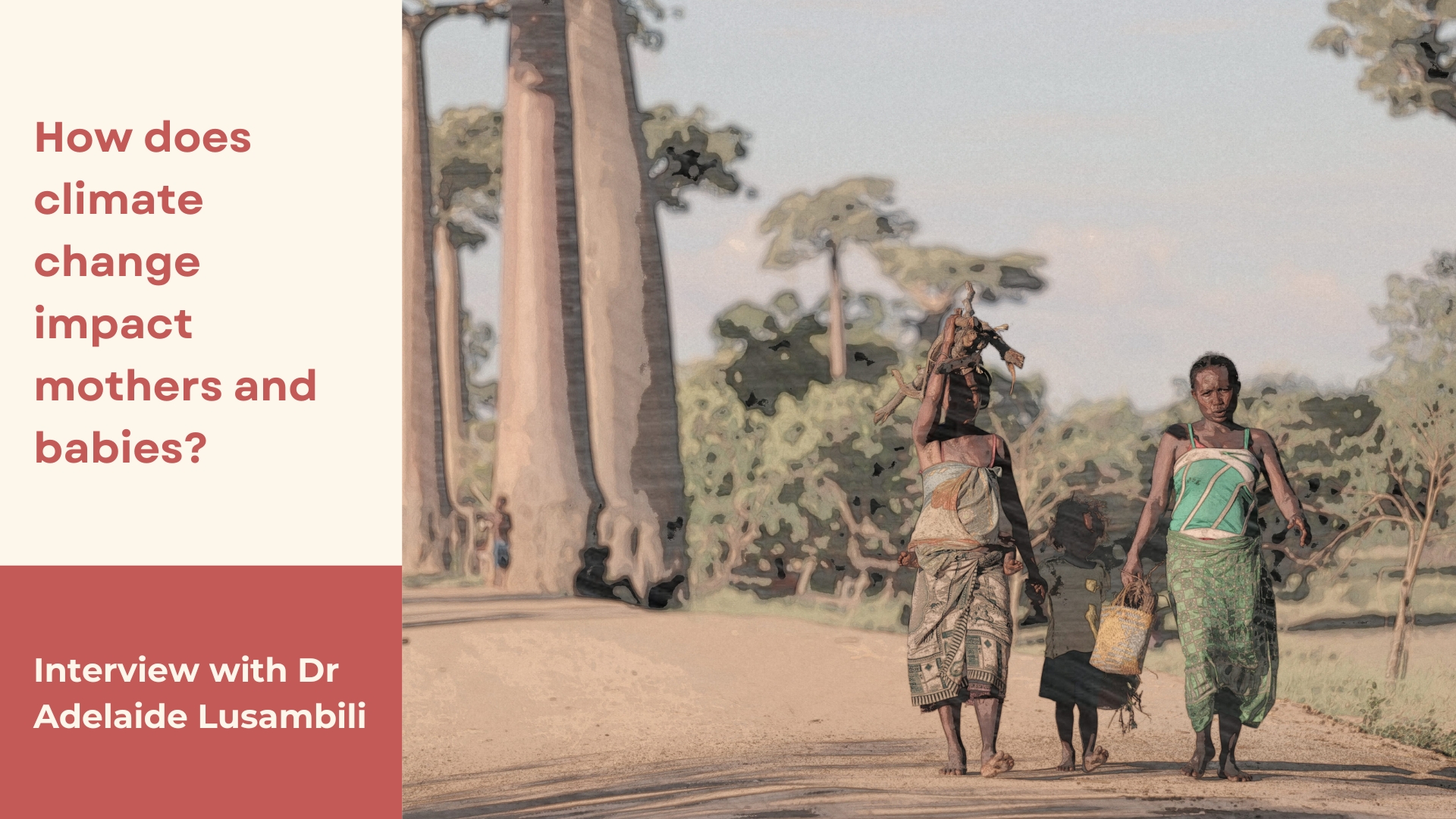 Alt Text: The image consists of a photo shot in Madagascar by 2Photo Pots, Unpslash on the right and text on the left. The photo shows two women walking in the sun with a child in the middle against a verdant background. The woman on the right is carrying a bundle of wood. On the left is written “How does climate change impact mothers and babies?” against a beige background and below that is written “Interview with Dr Adelaide Lusambili” against a crimson background.