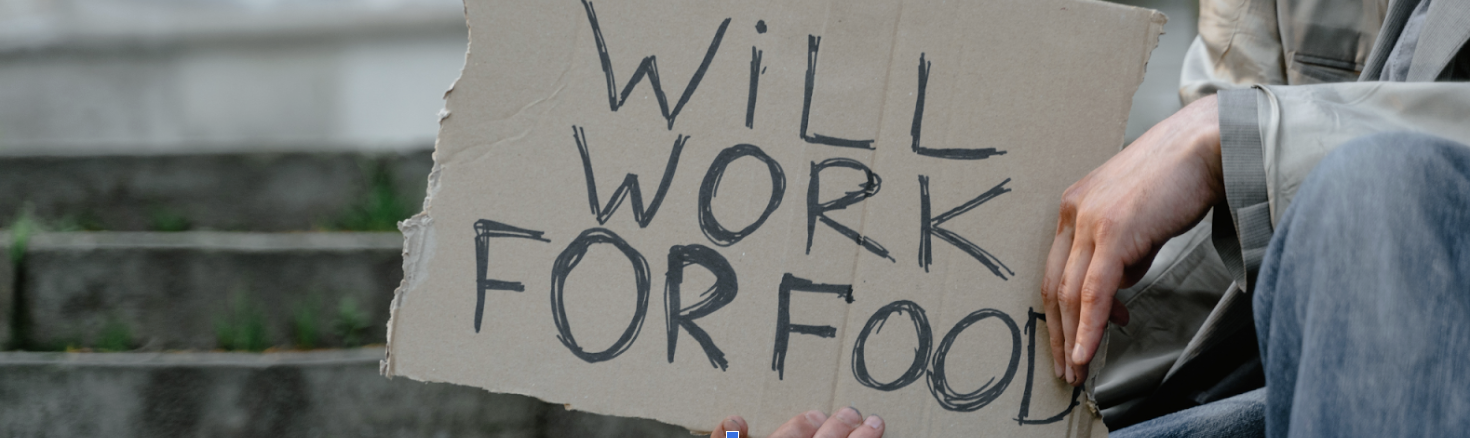 Image description: person with pale ivory skin wearing jeans and a jacket sitting on concrete steps holding a sign that says “will work for food”